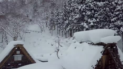 Las-casas-tradicionalmente-paja-en-Shirakawa-go-donde-está-la-aldea-de-la-montaña-entre-la-nieve-cerca-de-la-Prefectura-de-Gifu,-Ishikawa-y-Toyama-en-el-invierno,-Japón