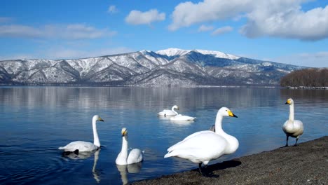 Lake-Kussharo,-Hokkaido,-Japan.