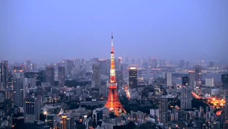 Torre-de-Tokio-es-comunicaciones-y-observación-de-la-torre-situada-en-el-distrito-de-Shiba-koen