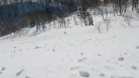 Snowboarder-springt-über-Straße-beim-Spinnen-eines-Freestyle-Trick-an-einem-sonnigen-Wintertag