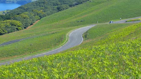 conducción-en-la-naturaleza