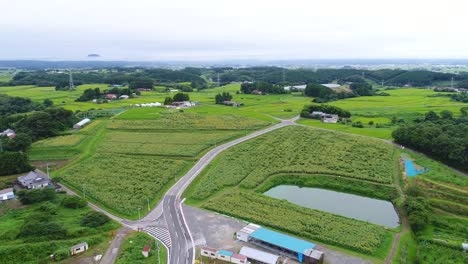 Sonnenblume-Hügel-von-Miyagi-Präfektur-Japan-Miyagi-Präfektur-im-Sommer-2017-Drone-Luftaufnahmen