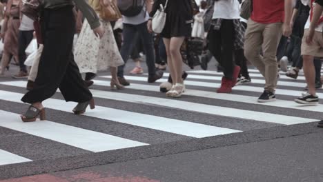 Gente-caminando-en-el-paso-de-peatones-de-Shibuya-(Slow-Motion-Video)-en-verano