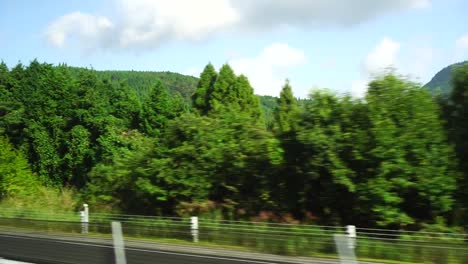 View-of-the-countryside-in-Japan,-view-from-car