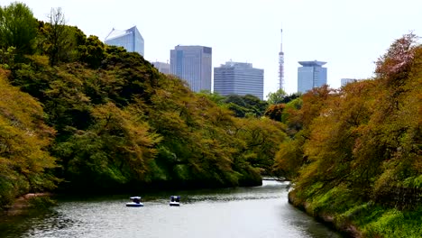 Reisen-Sie-video-Menschen-sitzen-in-ein-Ruderboot-und-die-Kirschblüte-in-voller-Blüte-am-Chidorigafuchi-im-Frühling,-Tokyo-Japan.