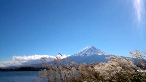 Mount-Fuji-viewed-from-Lake-Kawaguchiko-,-Japan