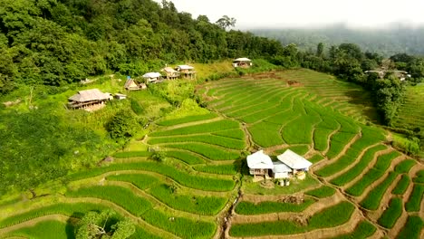 Rice-field-terrace-on-mountain-agriculture-land.