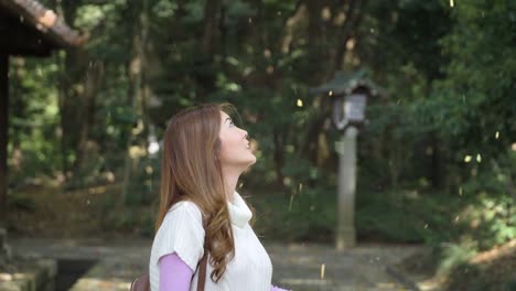 Happiness-woman-and-Leaves-falling.