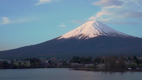 Mount-Fuji-and-Cherry-blossom-at-Kawaguchiko-lake