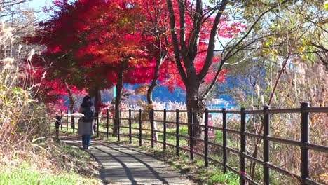 women-take-photo-autumn-Leaves