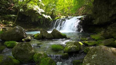 Cascada-y-verde-fresco-en-Japón