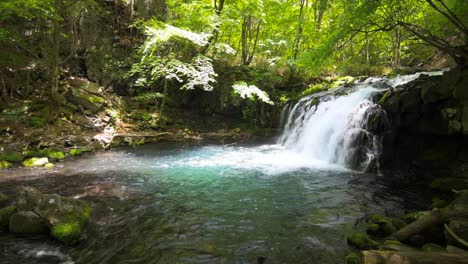 Wasserfall-und-frischem-Grün-in-japan