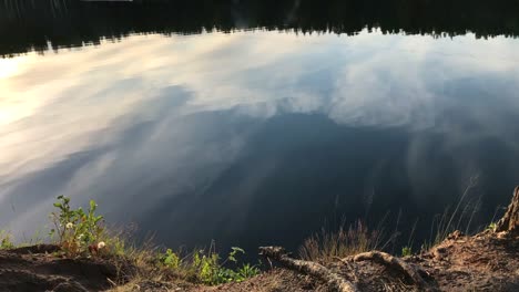 Blick-auf-Überlegungen-der-Himmel-in-den-Teich-in-einem-Wald-im-Sommer