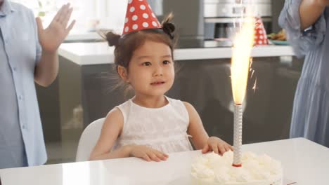 Cute-Birthday-Girl-Looking-at-Candle
