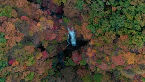 Aerial-view-of-Kirifuri-waterfall-and-autumn-foliage,-Nikko,-Tochigi,-Japan