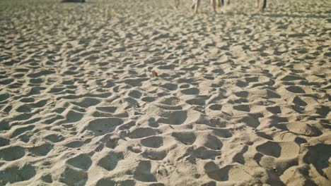 Feet-Running-on-the-Sand