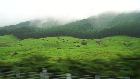 View-of-the-countryside-in-Japan,-view-from-car