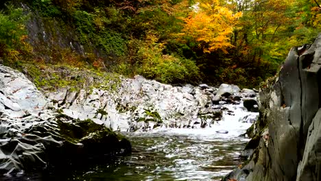 Autumn-leaves