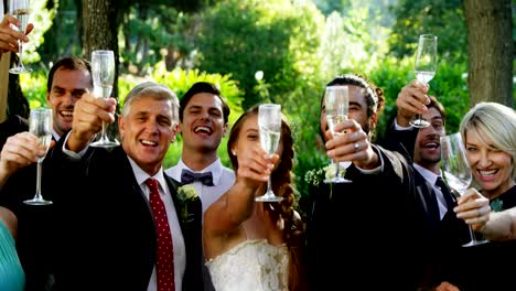 Gäste,-Braut-und-Bräutigam-Champagner-Toasten-Flöten-4K-4k