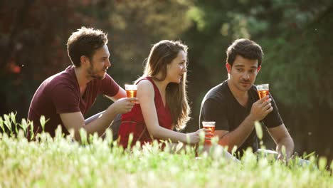 Happy-Friends-Toasting-Together-In-The-Park--carefree,joy,happiness