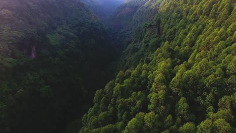 Luftaufnahme-von-Wäldern-Berggipfel,-4k