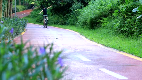 Glückliche-Frau-reiten-Fahrrad-mit-armen-eröffnet