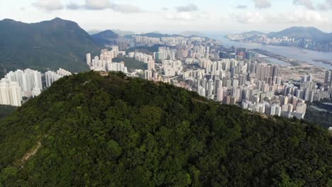 roca-León-en-hong-kong-con-el-fondo-de-la-ciudad