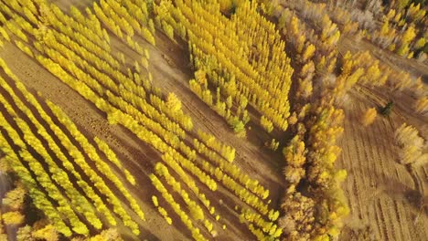 Landschaft-der-Hemu-Dorf,-Xinjiang,-China