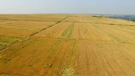 Aerial-view-of-Wheat-field-and-village,Xi'an,China.