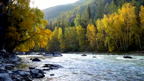 Mountain-River-and-Trees-in-Autumn-Seamless-Loop-Footage