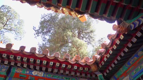 the-eaves-of-forbidden-city-on-the-hall-of-supreme-harmony