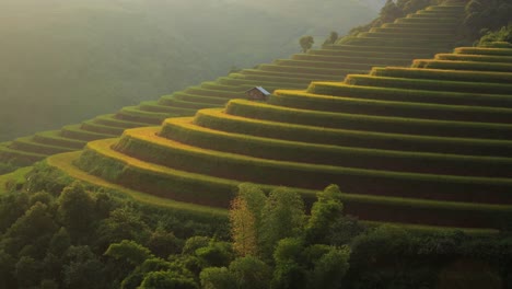 Rice-fields-on-terraced-of-Mu-Cang-Chai,-YenBai,-Vietnam.-Rice-fields-prepare-the-harvest-at-Northwest-Vietnam.Vietnam-landscapes.