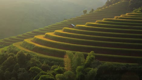 Arrozales-en-terrazas-de-Mu-Cang-Hai,-YenBai,-Vietnam.-Campos-de-arroz-preparan-la-cosecha-en-el-noroeste-Vietnam.Vietnam-paisajes.