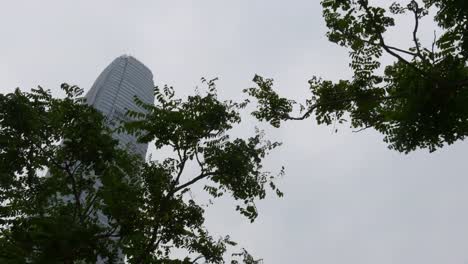 Hong-Kong-Tag-Zeit-Park-berühmt-Ifc-Turm-hinauf-Panorama-4k-china