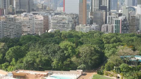 Kowloon-Park,-Wohnhäuser-und-Wolkenkratzer-in-Hongkong.