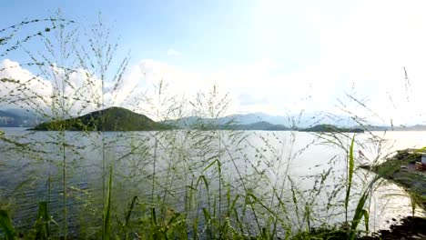 Paisaje-de-cámara-lenta:-Las-plantas-y-paisaje-en-Hong-Kong-Tai-Mei-Tuk