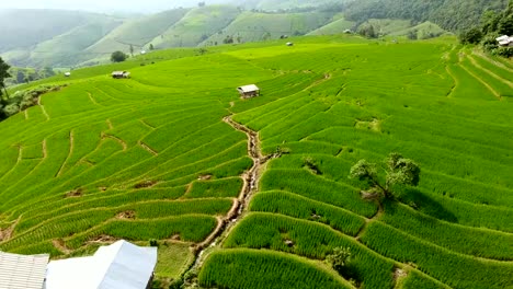 Terraza-de-campo-de-arroz-en-tierras-de-agricultura-de-montaña.