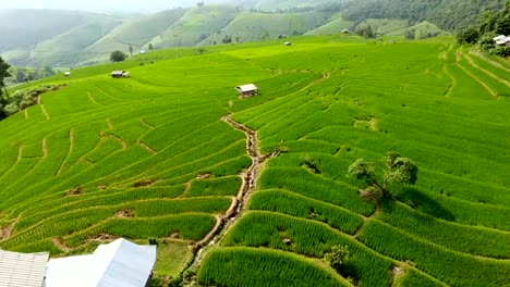 Rice-field-terrace-on-mountain-agriculture-land.