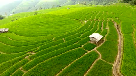 Rice-field-terrace-on-mountain-agriculture-land.