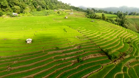 Rice-field-terrace-on-mountain-agriculture-land.