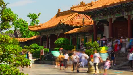 china-sunny-day-zhuhai-famous-new-yuan-ming-crowded-park-panorama-4k-timelapse