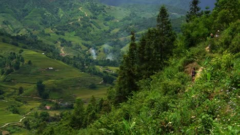 Group-of-Tourists-walking-the-path-in-rice-paddy-terrace-fields-in--Sapa,-Vietnam,-Asia