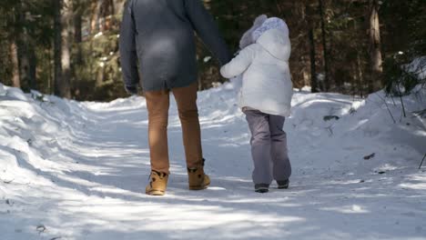 Bruder-zu-Fuß-mit-kleinen-Schwester-im-Wald