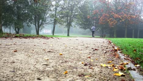 Ejecución-de-la-mañana-en-el-parque