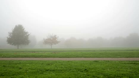 Ejecución-de-la-mañana-en-el-parque