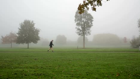 Morgendlichen-Laufen-durch-den-park