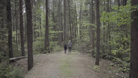 madre-y-el-niño-caminando-en-el-bosque-ontario-naturaleza-Canadá