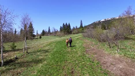 Overview-of-Wild-Scenery