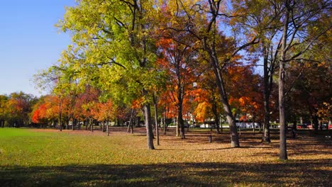 video-filmado-en-Washington-dc-constitución-jardines-otoño