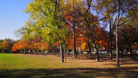 video-shot-in-washington-dc-constitution-gardens-fall